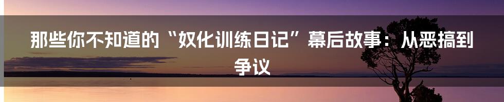 那些你不知道的“奴化训练日记”幕后故事:从恶搞到争议