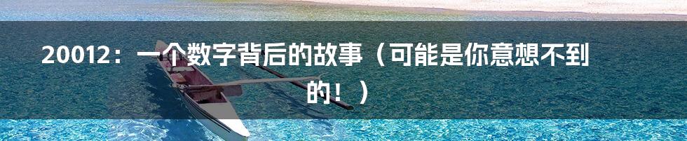 20012:一个数字背后的故事(可能是你意想不到的!)