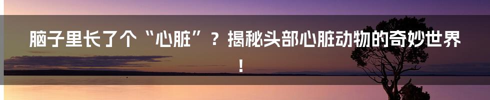 脑子里长了个“心脏”?揭秘头部心脏动物的奇妙世界!