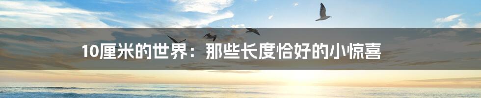 10厘米的世界:那些长度恰好的小惊喜