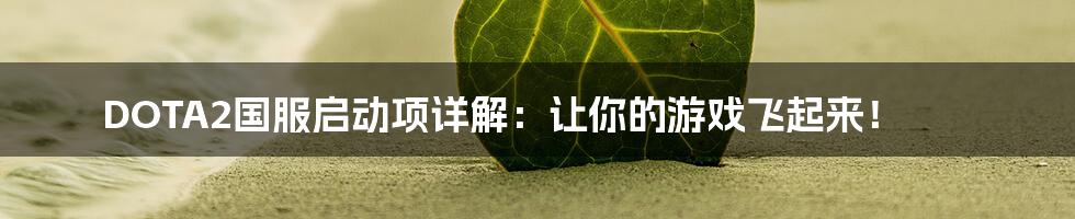DOTA2国服启动项详解:让你的游戏飞起来!