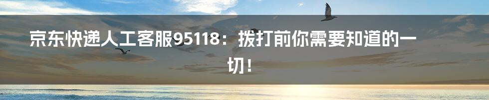 京东快递人工客服95118:拨打前你需要知道的一切!