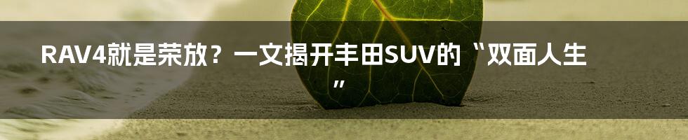 RAV4就是荣放?一文揭开丰田SUV的“双面人生”
