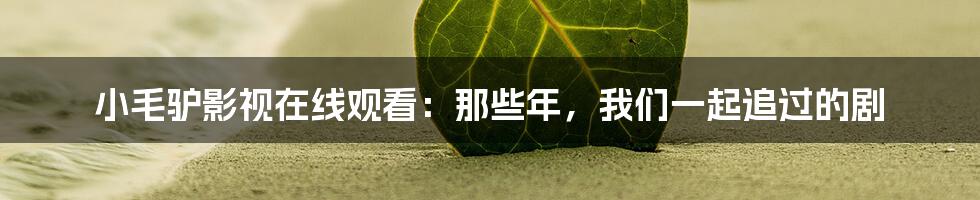 小毛驴影视在线观看:那些年,我们一起追过的剧