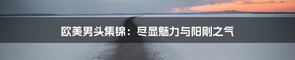 欧美男头集锦:尽显魅力与阳刚之气
