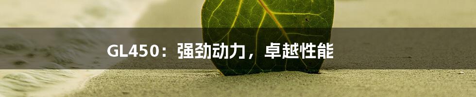 GL450：强劲动力，卓越性能
