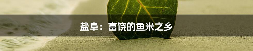 盐阜:富饶的鱼米之乡
