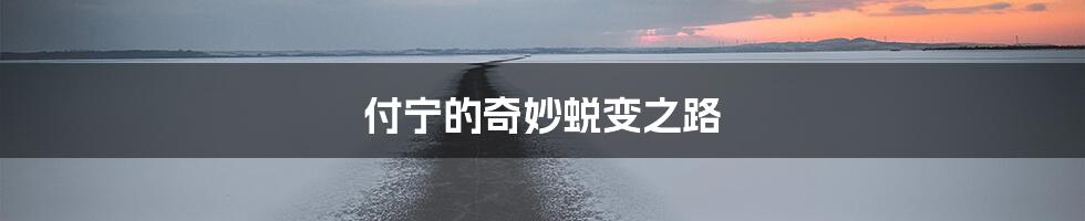 付宁的奇妙蜕变之路
