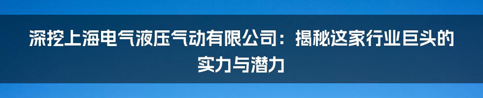 深挖上海电气液压气动有限公司:揭秘这家行业巨头的实力与潜力
