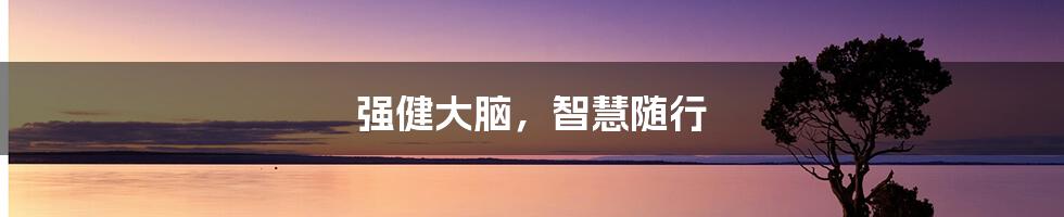 强健大脑,智慧随行