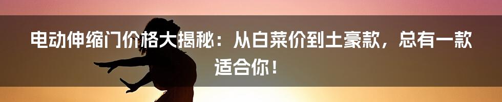 电动伸缩门价格大揭秘:从白菜价到土豪款,总有一款适合你!