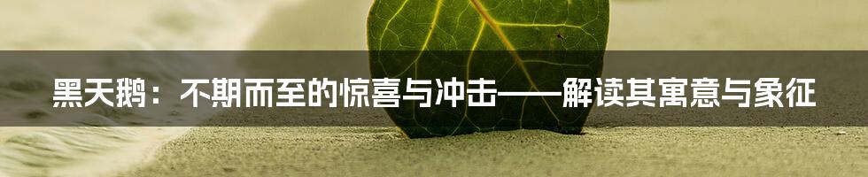 黑天鹅:不期而至的惊喜与冲击——解读其寓意与象征