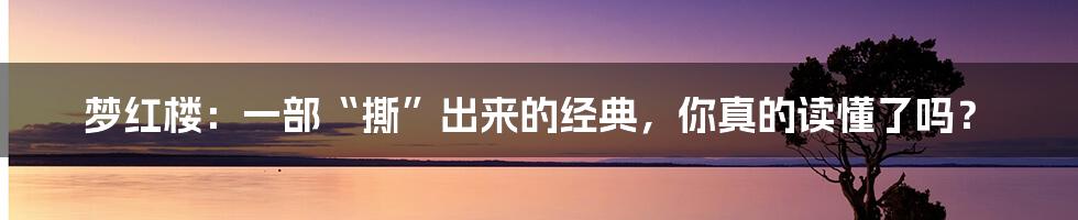 梦红楼:一部“撕”出来的经典,你真的读懂了吗?