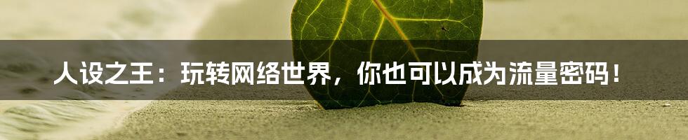 人设之王:玩转网络世界,你也可以成为流量密码!