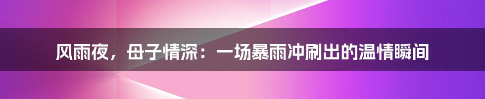 风雨夜,母子情深:一场暴雨冲刷出的温情瞬间