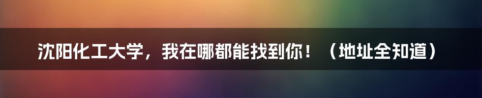 沈阳化工大学,我在哪都能找到你!(地址全知道)