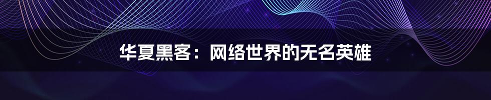 华夏黑客：网络世界的无名英雄