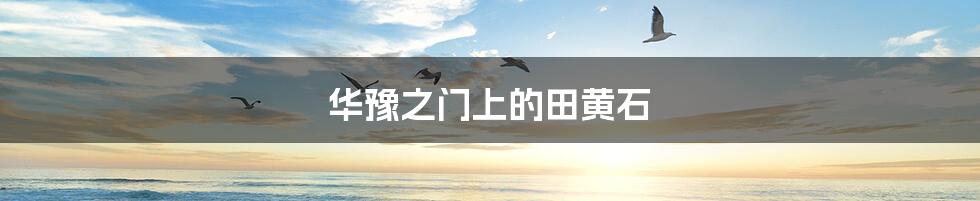 华豫之门上的田黄石