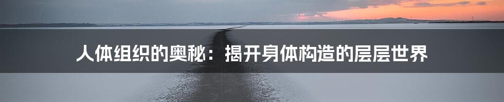 人体组织的奥秘:揭开身体构造的层层世界