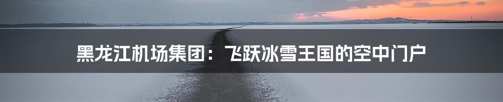 黑龙江机场集团:飞跃冰雪王国的空中门户