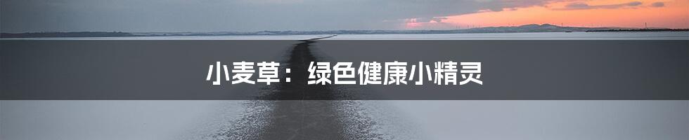 小麦草:绿色健康小精灵