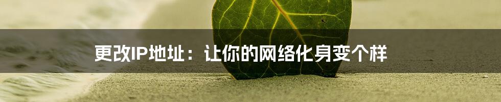更改IP地址:让你的网络化身变个样