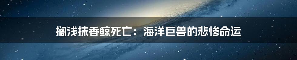 搁浅抹香鲸死亡:海洋巨兽的悲惨命运