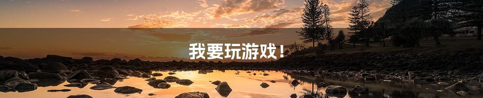 我要玩游戏!
