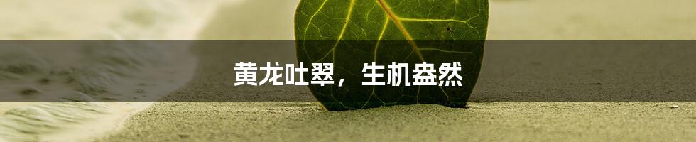 黄龙吐翠，生机盎然