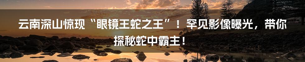 云南深山惊现“眼镜王蛇之王”!罕见影像曝光,带你探秘蛇中霸主!