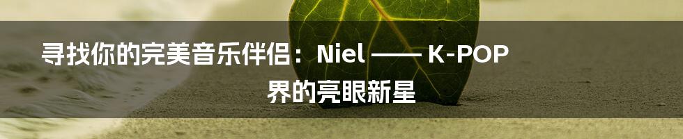 寻找你的完美音乐伴侣:Niel —— K-POP 界的亮眼新星
