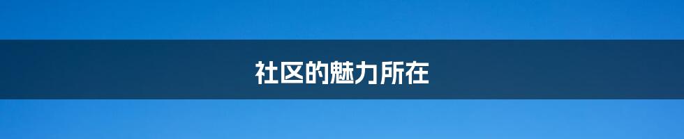 社区的魅力所在
