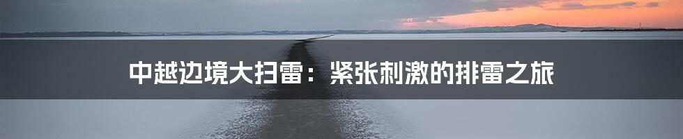中越边境大扫雷:紧张刺激的排雷之旅