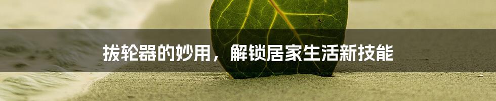 拔轮器的妙用,解锁居家生活新技能