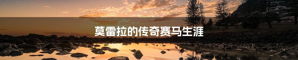 莫雷拉的传奇赛马生涯