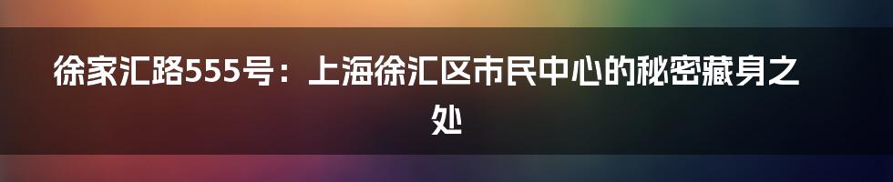 徐家汇路555号:上海徐汇区市民中心的秘密藏身之处