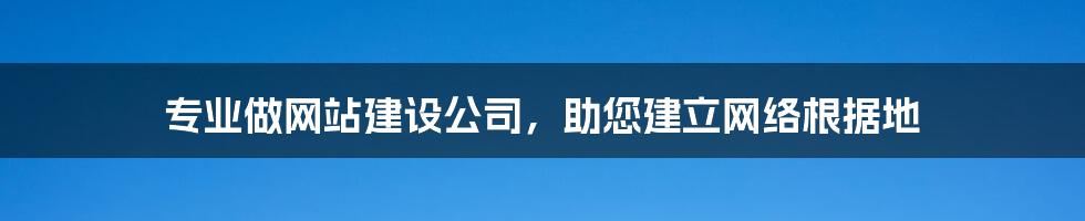 专业做网站建设公司,助您建立网络根据地