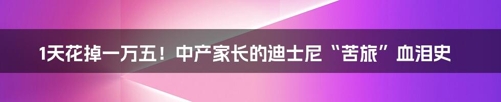 1天花掉一万五!中产家长的迪士尼“苦旅”血泪史