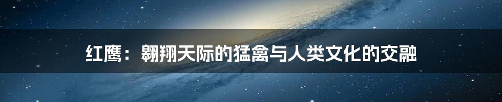 红鹰:翱翔天际的猛禽与人类文化的交融