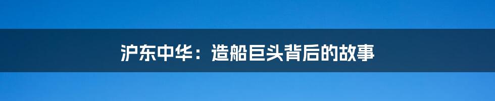 沪东中华：造船巨头背后的故事