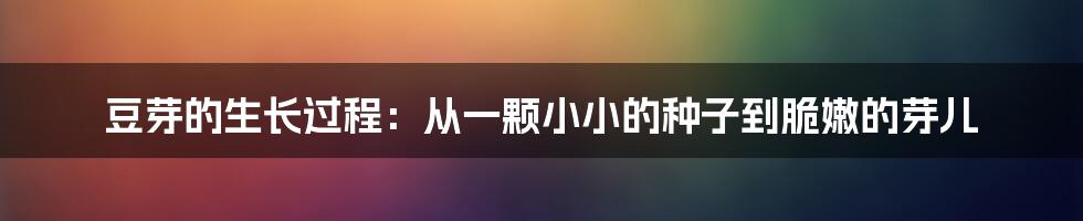 豆芽的生长过程:从一颗小小的种子到脆嫩的芽儿