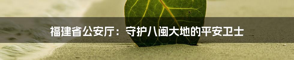 福建省公安厅:守护八闽大地的平安卫士