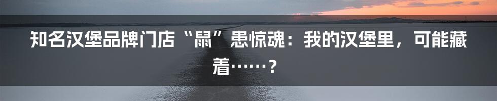 知名汉堡品牌门店“鼠”患惊魂:我的汉堡里,可能藏着……?