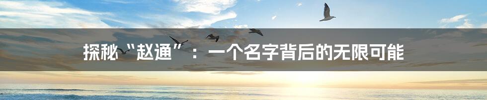 探秘“赵通”:一个名字背后的无限可能