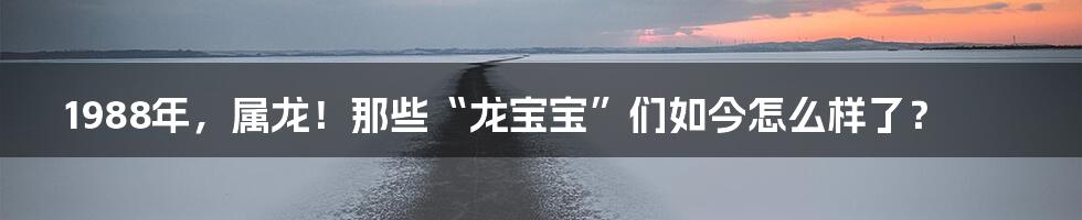 1988年，属龙！那些“龙宝宝”们如今怎么样了？