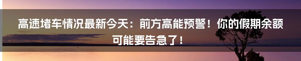 高速堵车情况最新今天:前方高能预警!你的假期余额可能要告急了!