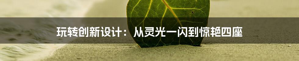 玩转创新设计:从灵光一闪到惊艳四座