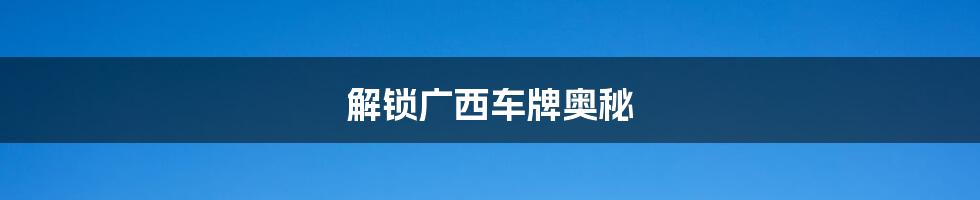解锁广西车牌奥秘