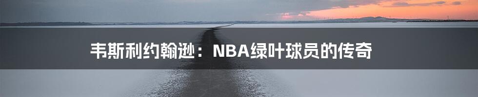 韦斯利约翰逊:NBA绿叶球员的传奇