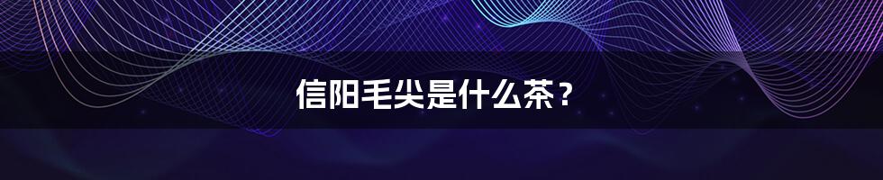 信阳毛尖是什么茶?